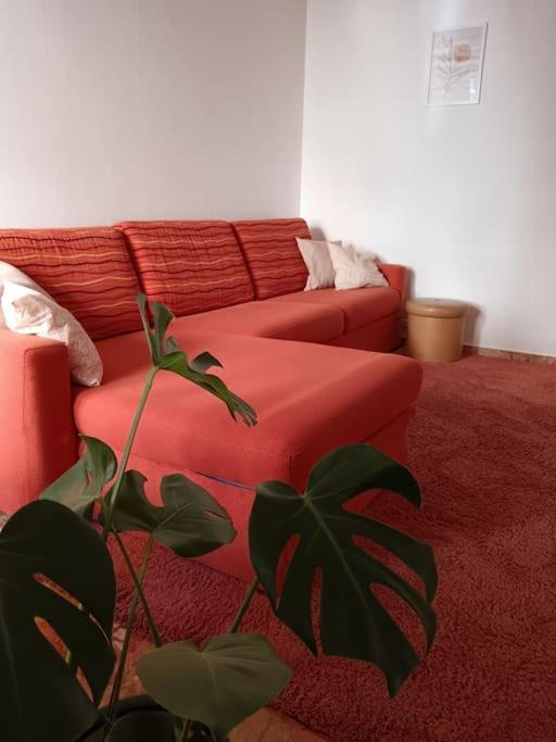 Forti Genova-Free Parking Castellaccio Apartment Eksteriør billede